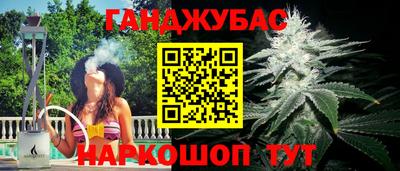 мяу мяу мука Нальчик