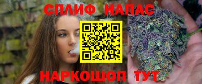 мяу мяу мука Нальчик