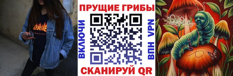 Галлюциногенные грибы ЛСД  купить наркоту  Чусовой 