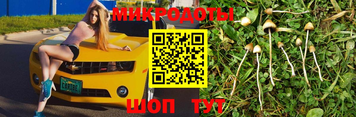 Галлюциногенные грибы мухоморы Чусовой