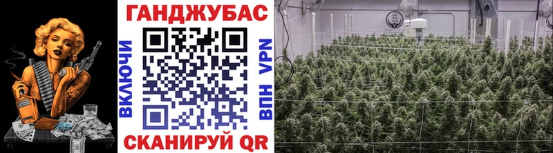 Шишки марихуана тримм  продажа наркотиков  Чусовой 
